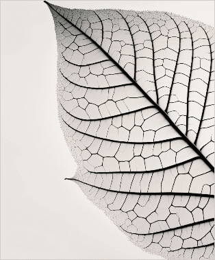 Positive impact on environment and society