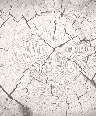 Discovering Impact Through Our ESG Ratings - Negative impact on environment and society