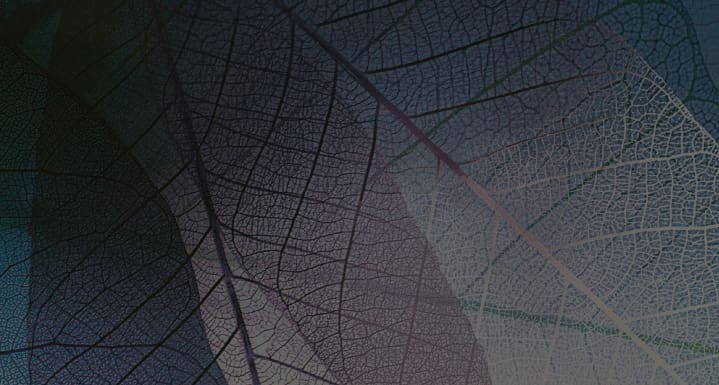 Webinar-banner_719x385