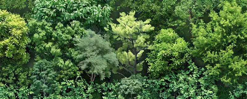 Biodiversity Restoration: A Business and Climate Imperative