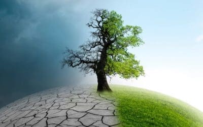 How AI Is Shaping the Future of Climate Data Collection and Analysis