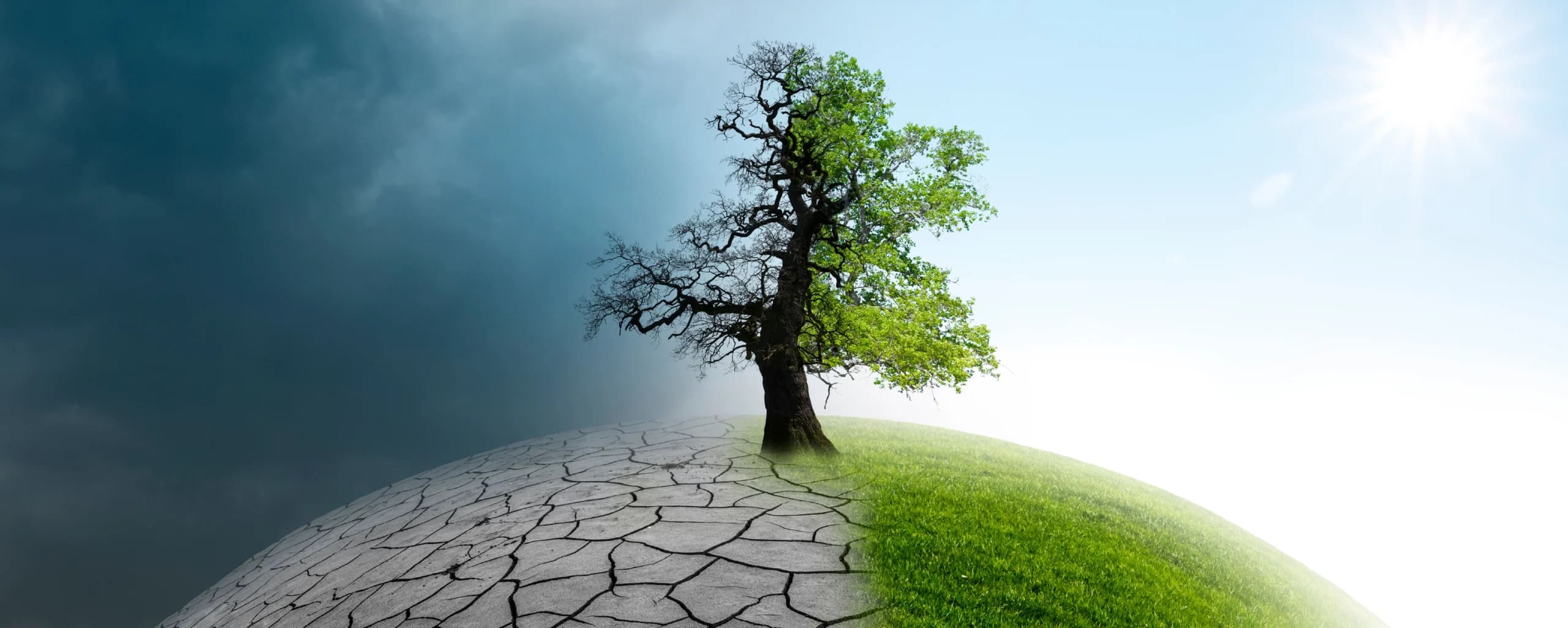 How AI Is Shaping the Future of Climate Data Collection and Analysis