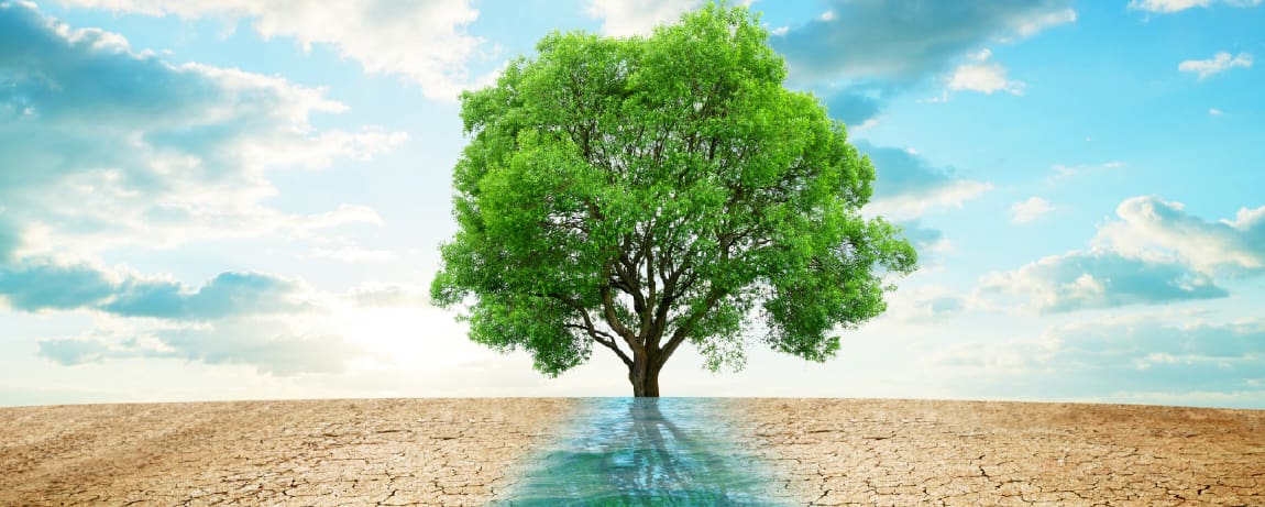 Investing-in-Water