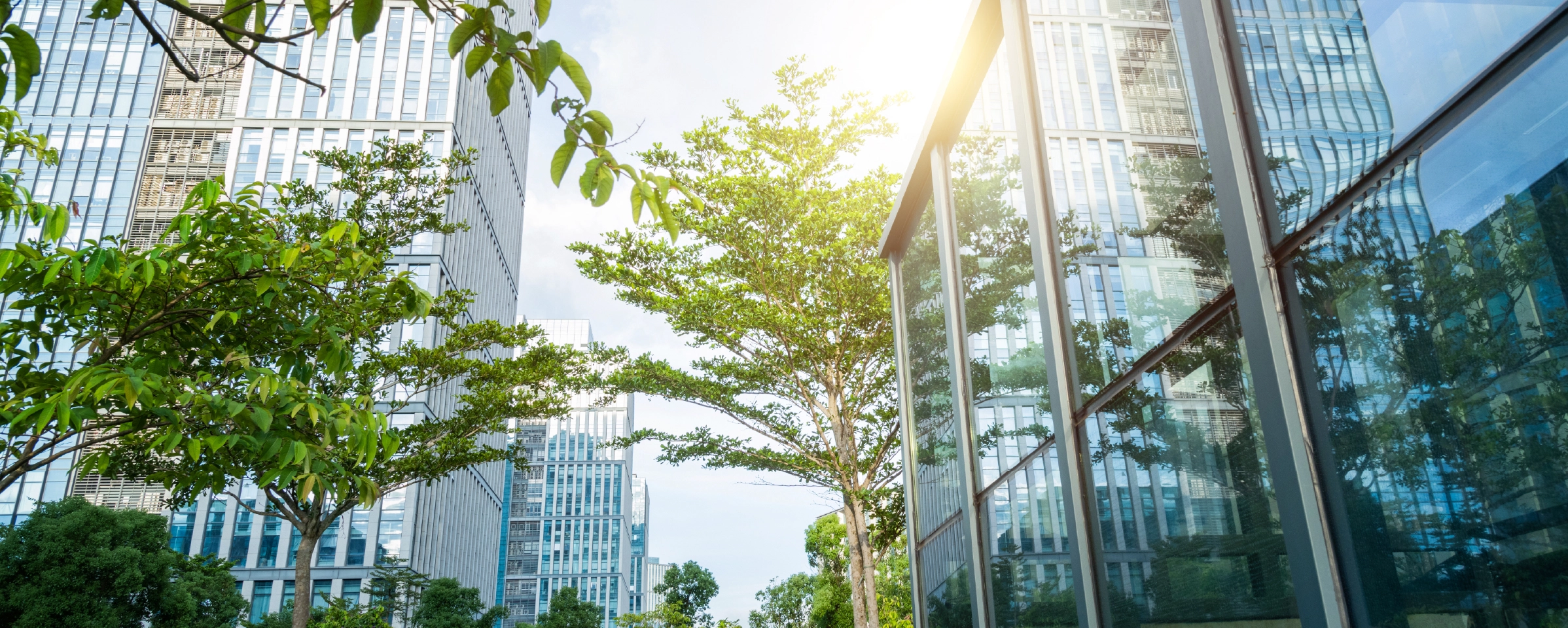 Biodiversity Disclosures in the Financial Sector: Emerging Trends