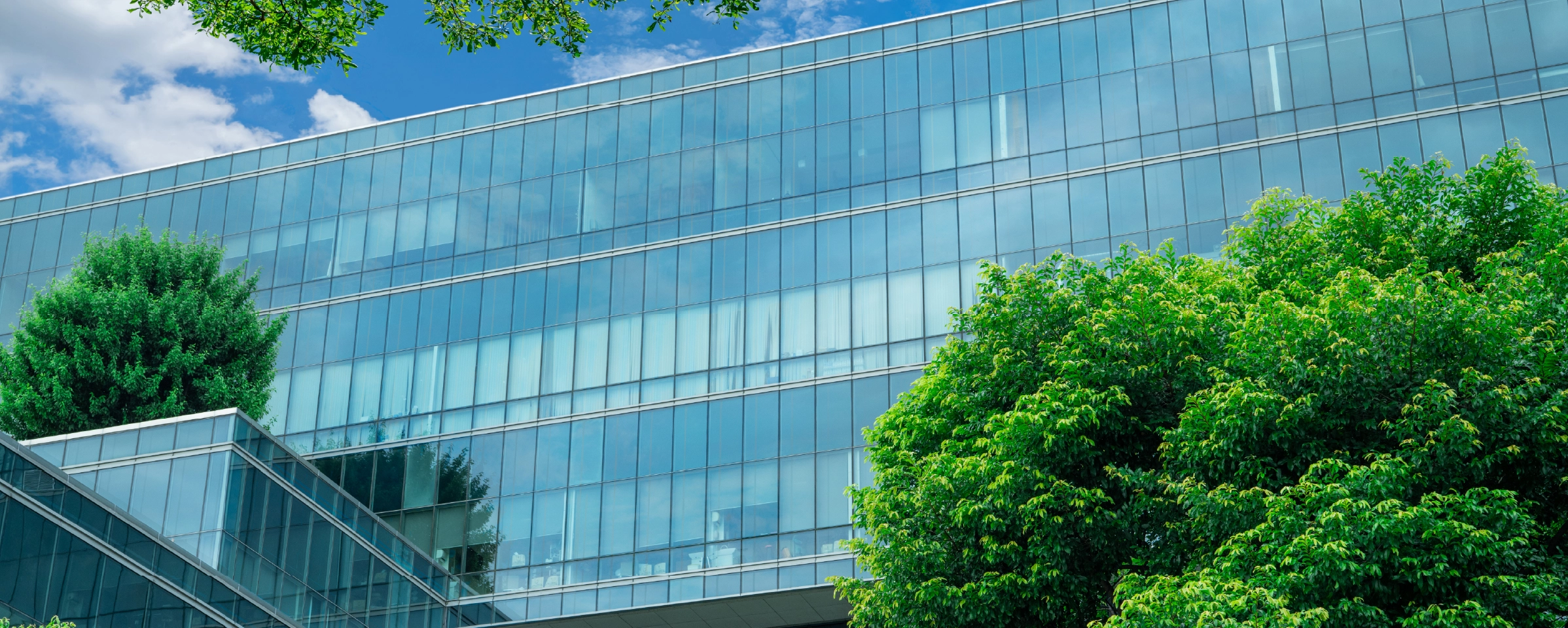 Decoding Sovereign ESG Ratings: Understanding Their Impact on Global Investment Strategies