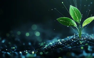 AI and Sustainability: How Responsible Are Today’s AI Companies?