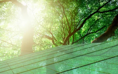 Sustainable Sourcing: How ESG Criteria Are Redefining Supplier Relationships