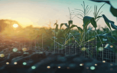 Driving Sustainable Value Creation in the Transportation Sector