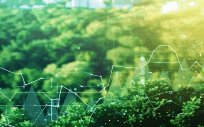 Materiality in Private Markets: ESG Beyond Disclosure