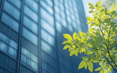 Unlocking Real SDG Impact: Why Measurement Must Go Beyond Corporate Disclosures