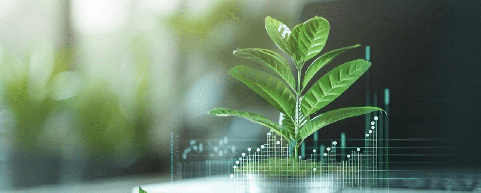 OECD_Screening_Banner